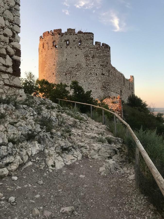 Apartmán se sklípkem Pavlov Kültér fotó